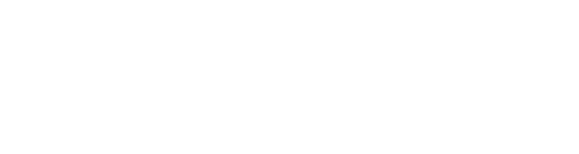 Sinpex